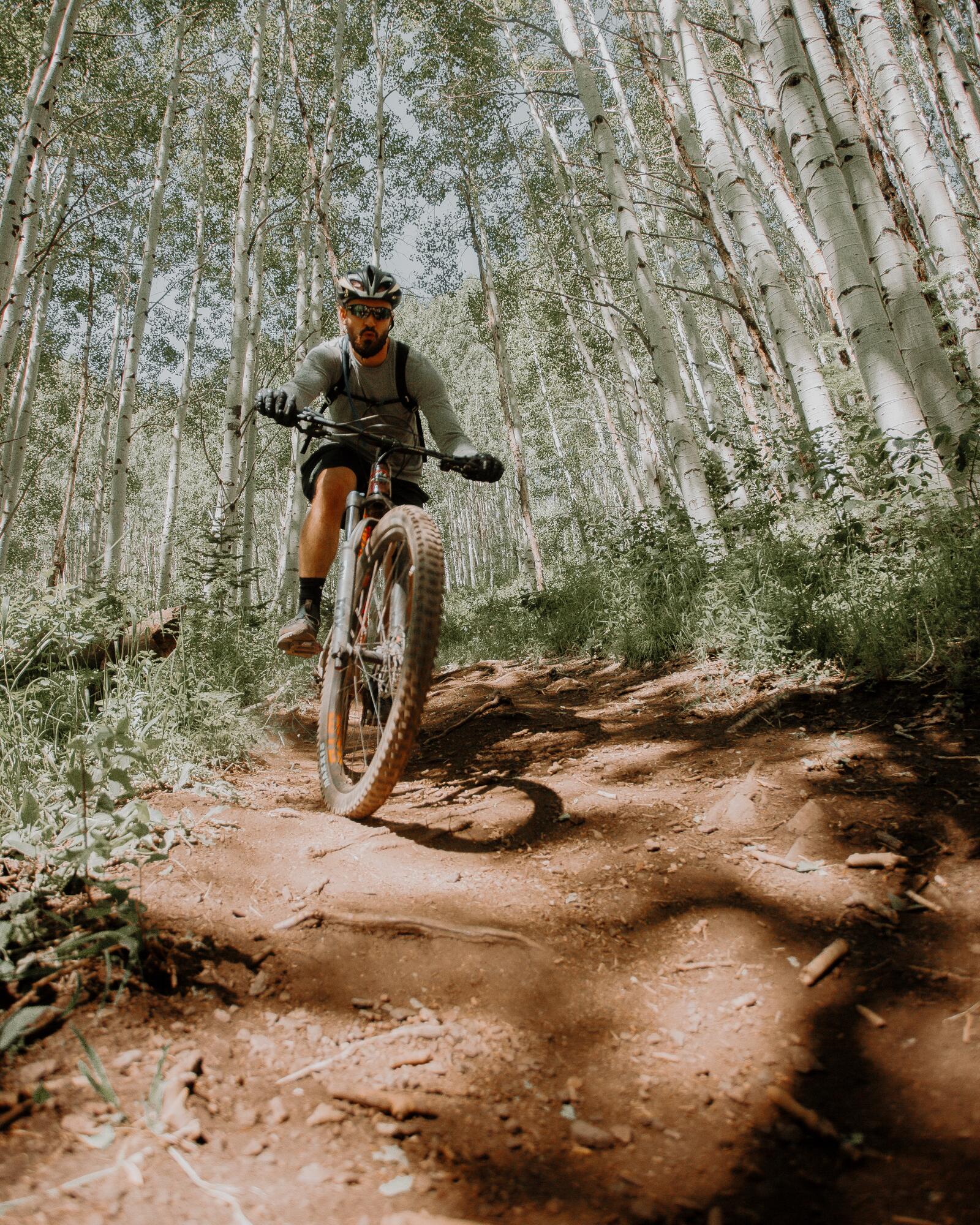 Бесплатное фото Велосипедист в березовом лесу