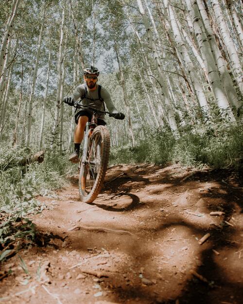 Велосипедист в березовом лесу