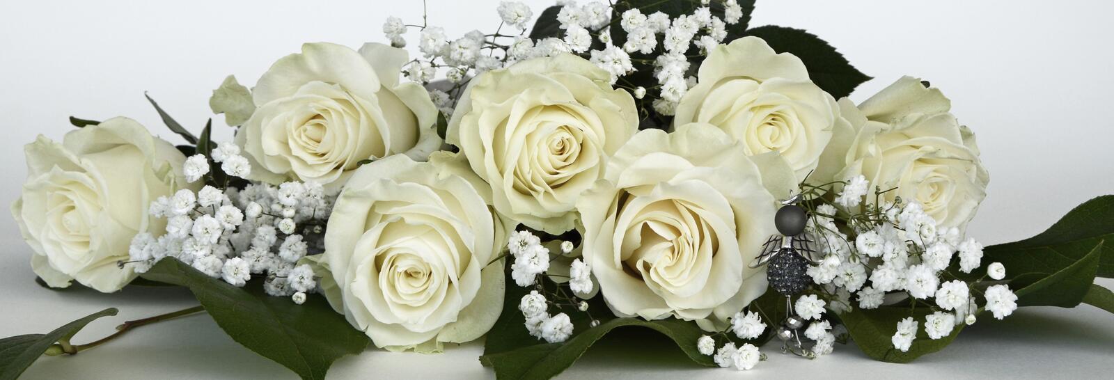Бесплатное фото Белые розы
