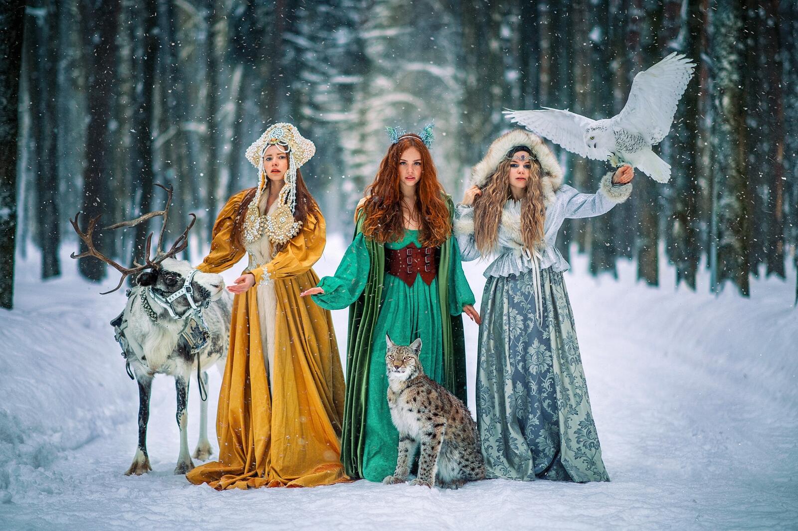 免费照片壁纸 美丽的俄罗斯女孩在冬季