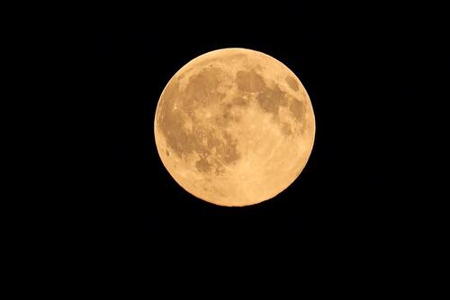 A big yellow moon in a black sky.