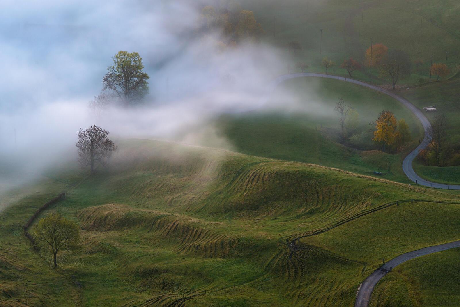 Бесплатное фото Туман летним утром в холмистой местности