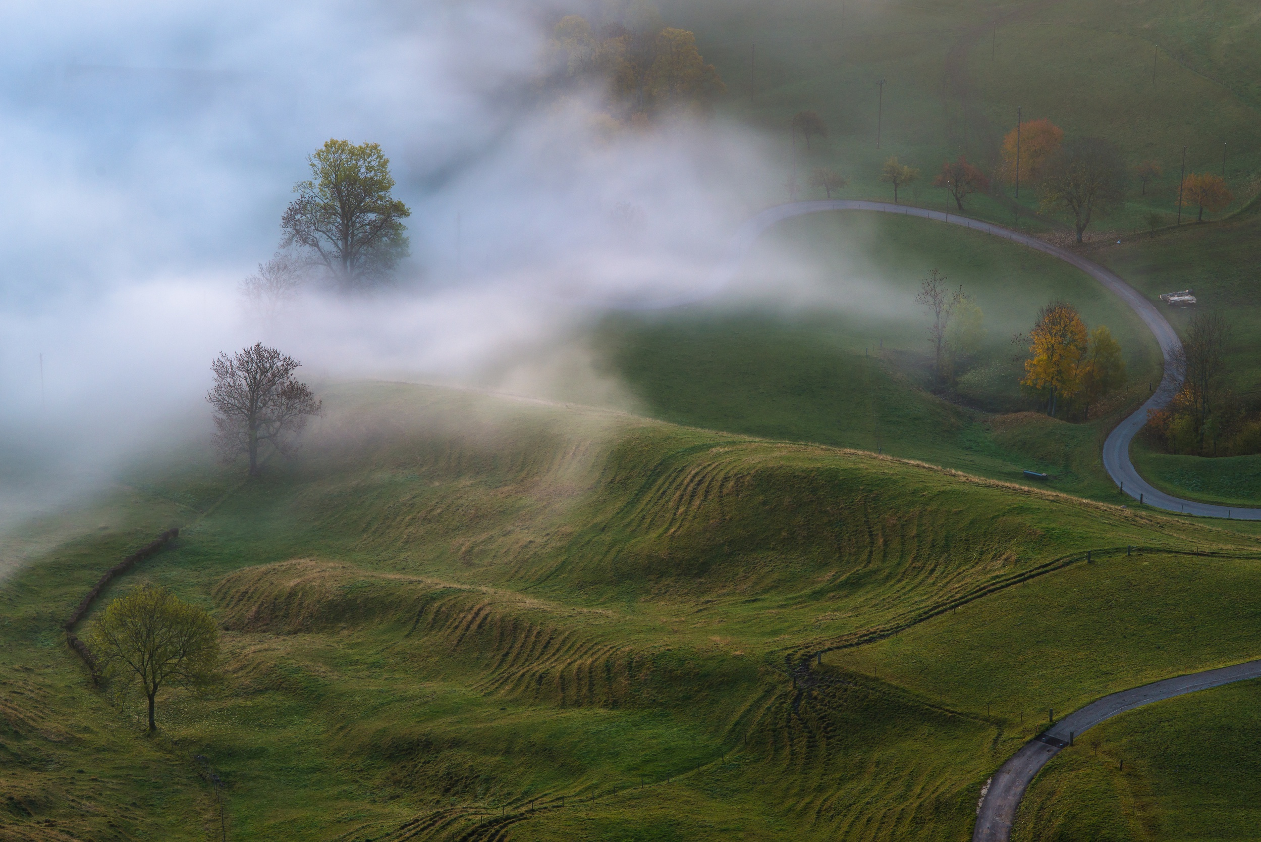 免费照片丘陵地区夏季早晨的大雾