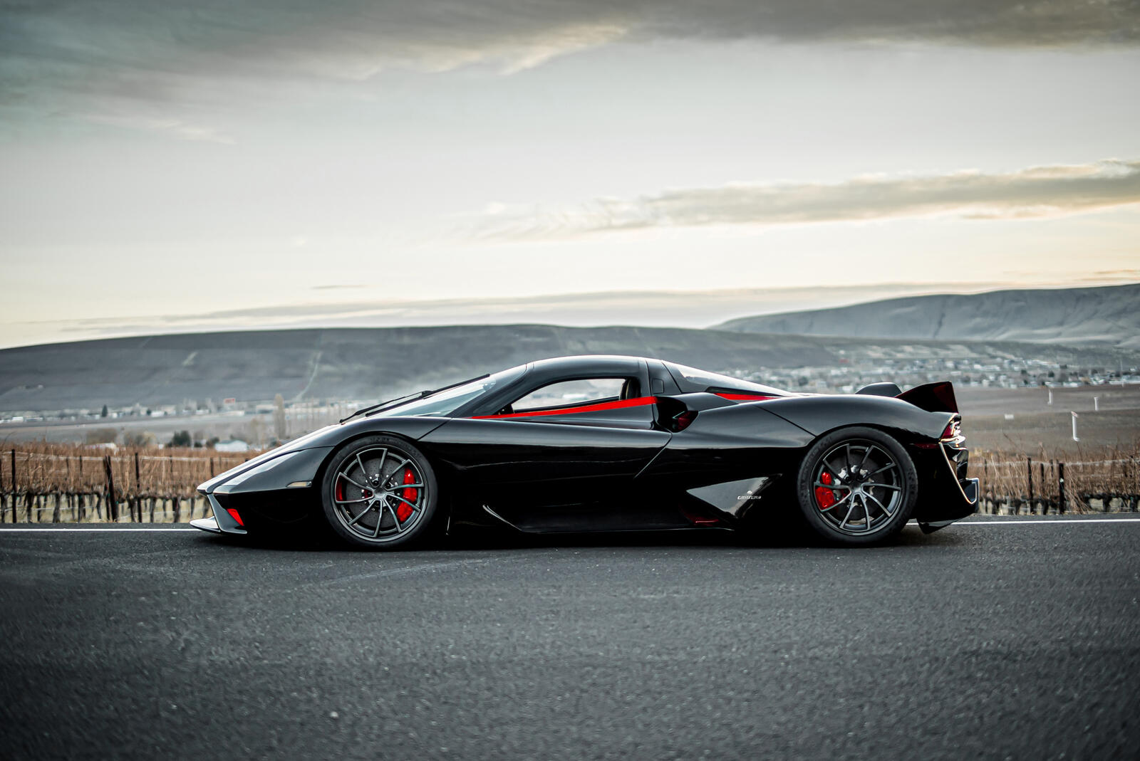 Free photo Black ssc tuatara with red inserts side view