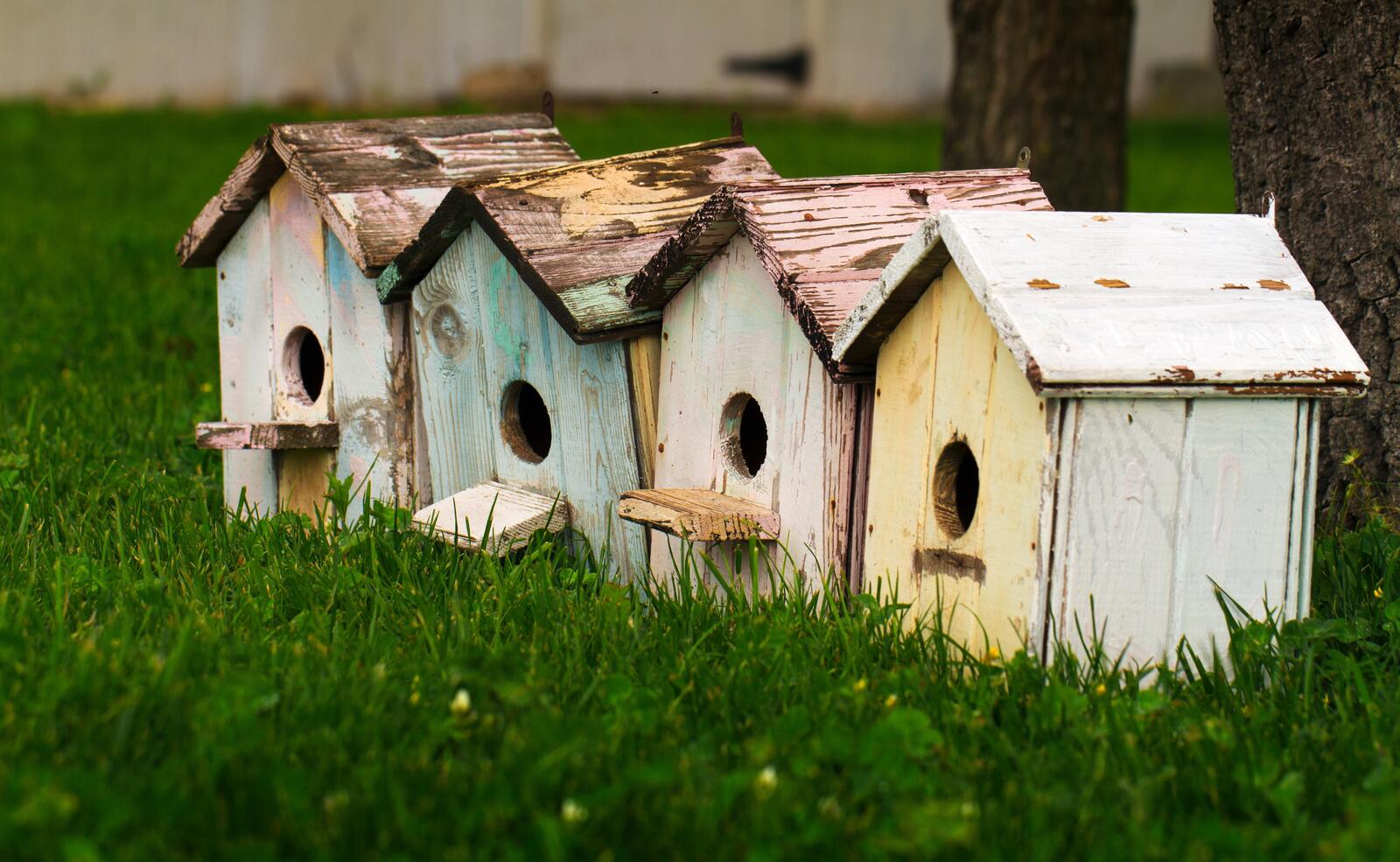 Free photo Wooden birdhouses stand on the green grass
