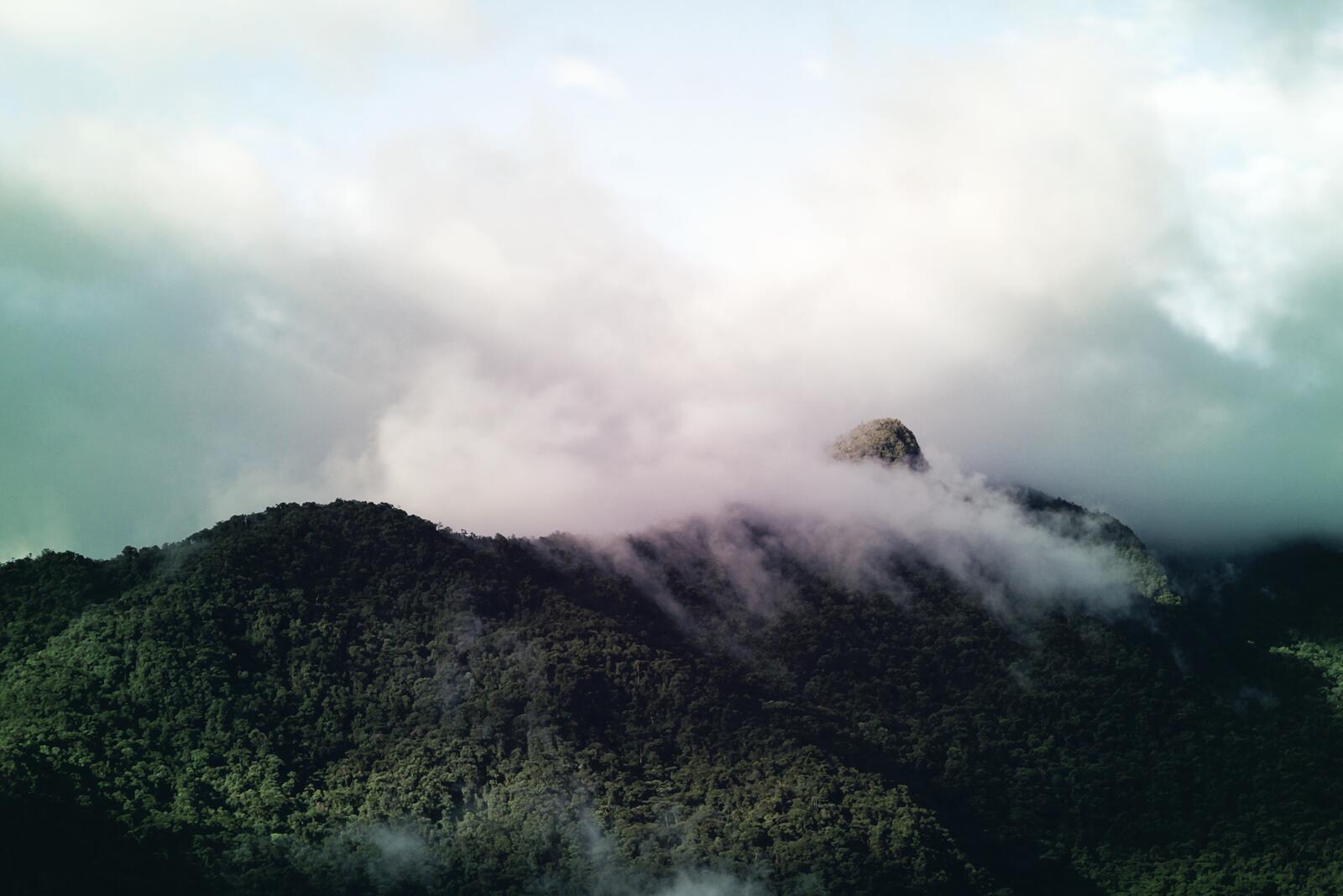 Бесплатное фото Облака касаются зеленых вершин гор