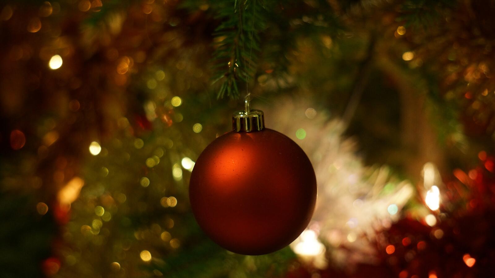 Бесплатное фото Красная новогодняя игрушка висит на ветви елки