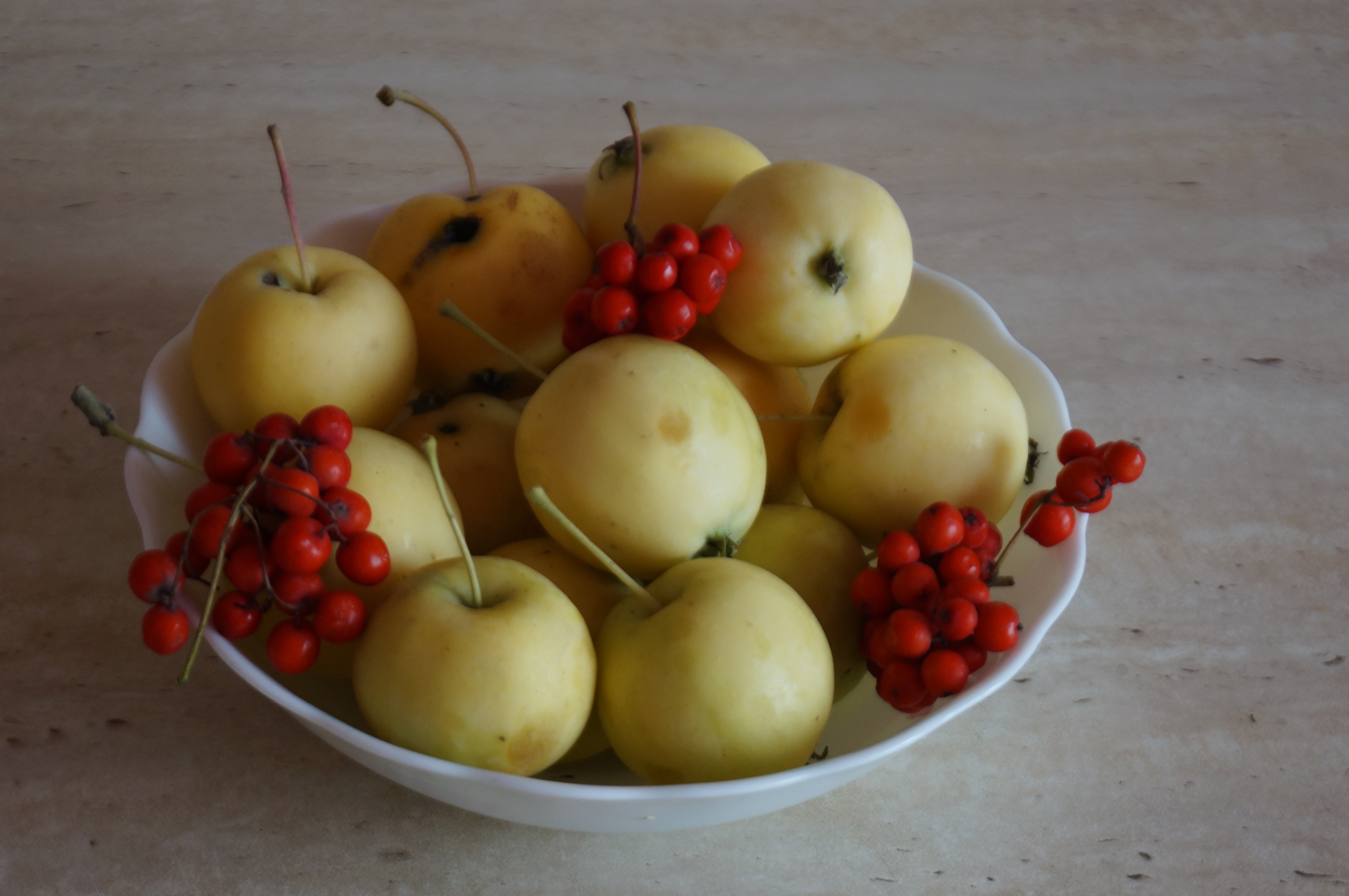 Free photo Apples and berries,