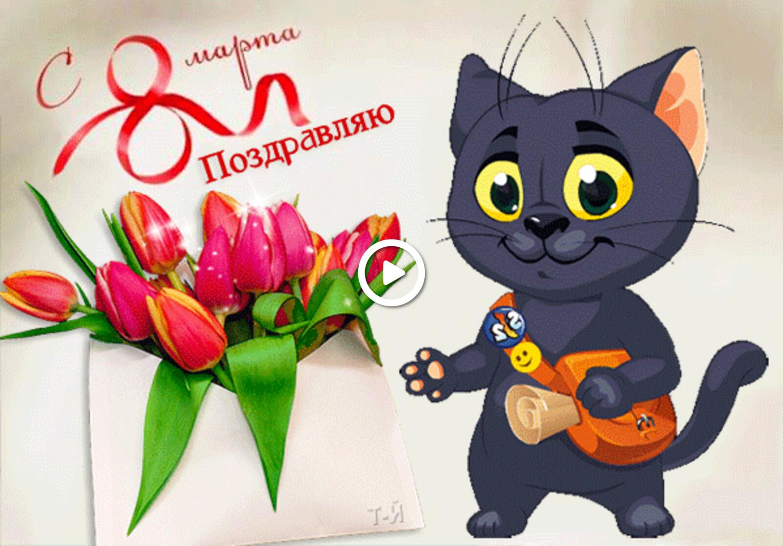 Бесплатная открытка Прикольная открытка с котиком на 8 марта