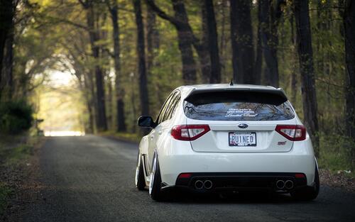 Picture of a white Subaru Impreza on a forest road.