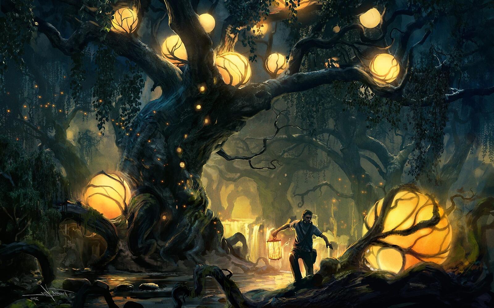 Бесплатное фото Прогулка по фантастическому лесу со светящимися шарами