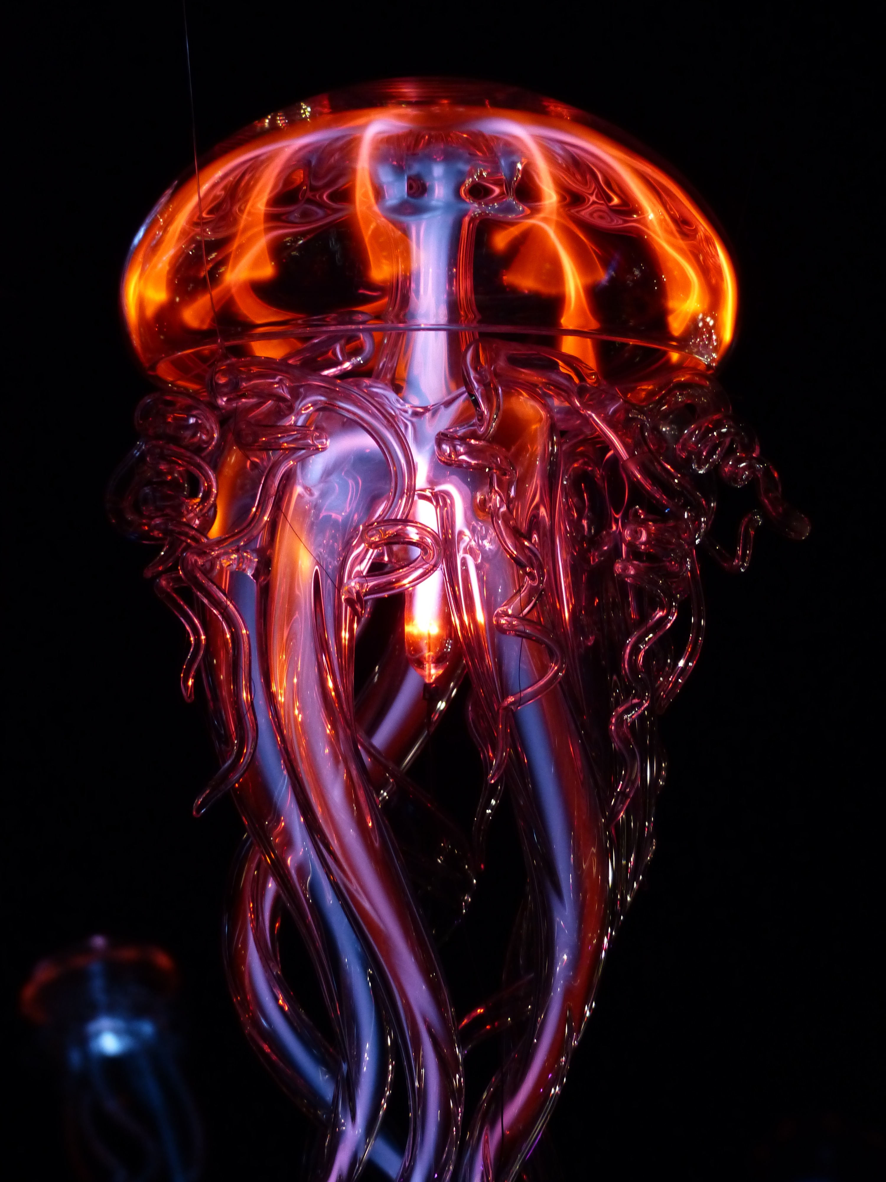Обои стекло медуза креатив на рабочий стол