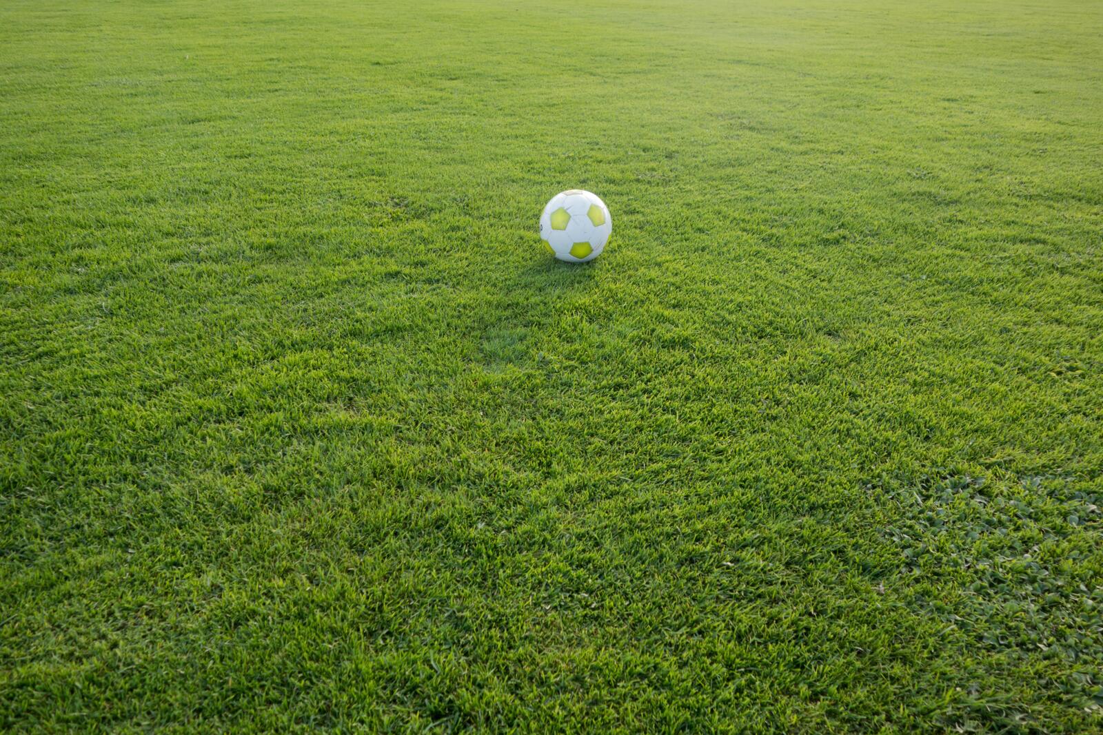 Бесплатное фото Футбольный мяч лежит на газоне