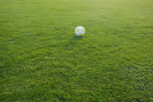 Футбольный мяч лежит на газоне