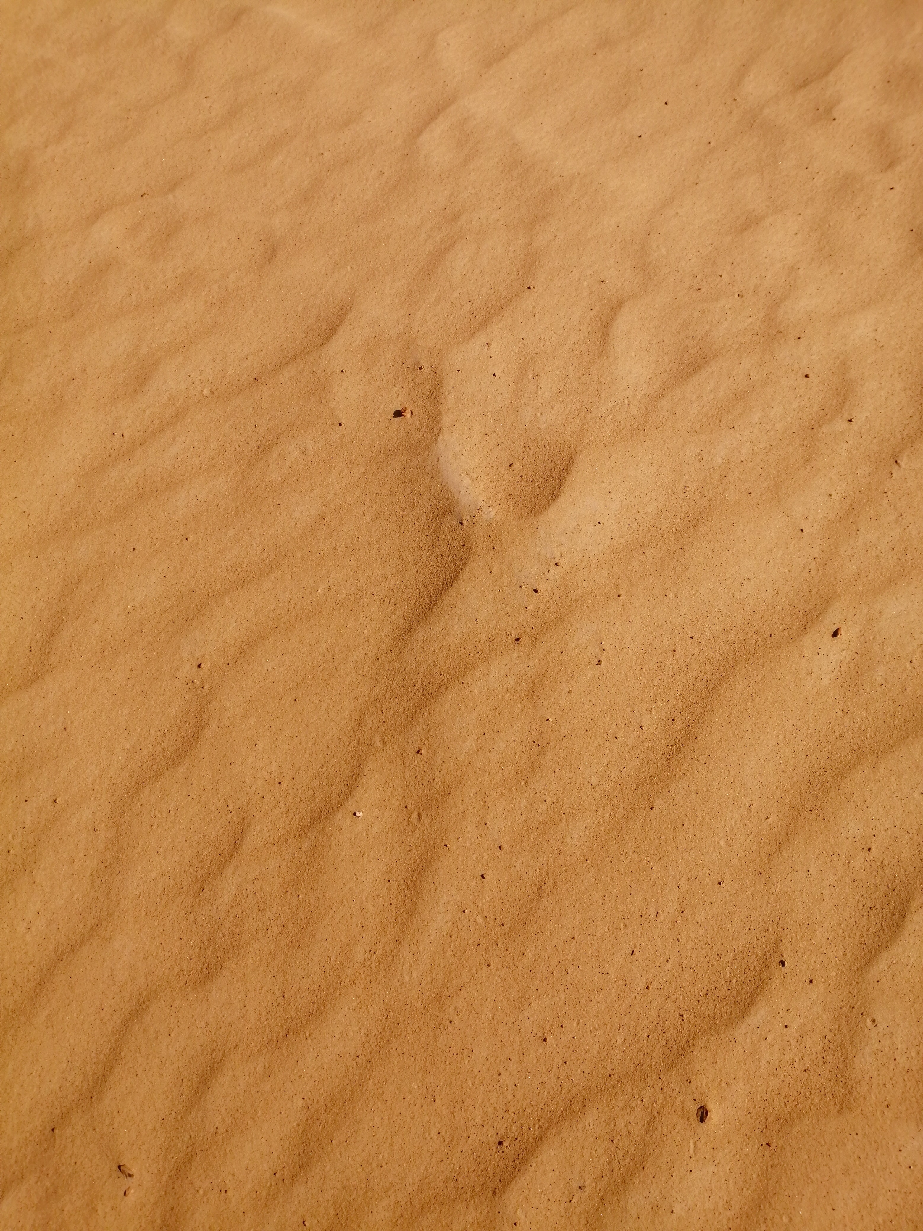 沙漠中的橙色沙子