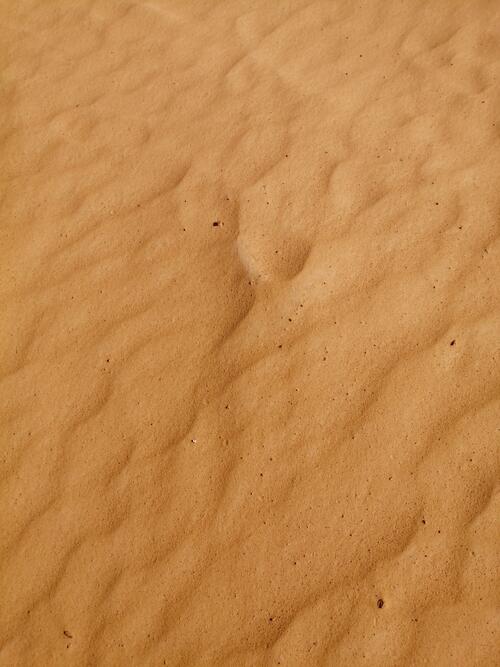 Orange sand in the desert