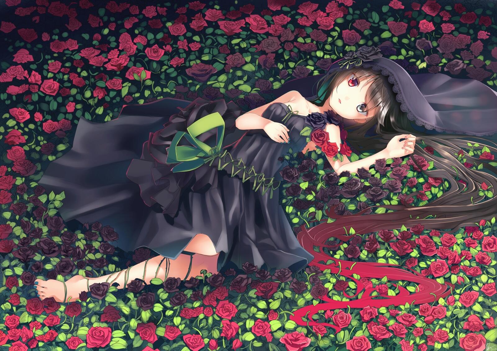 Бесплатное фото Аниме девочка лежит на в черном платье на поле с красными розами