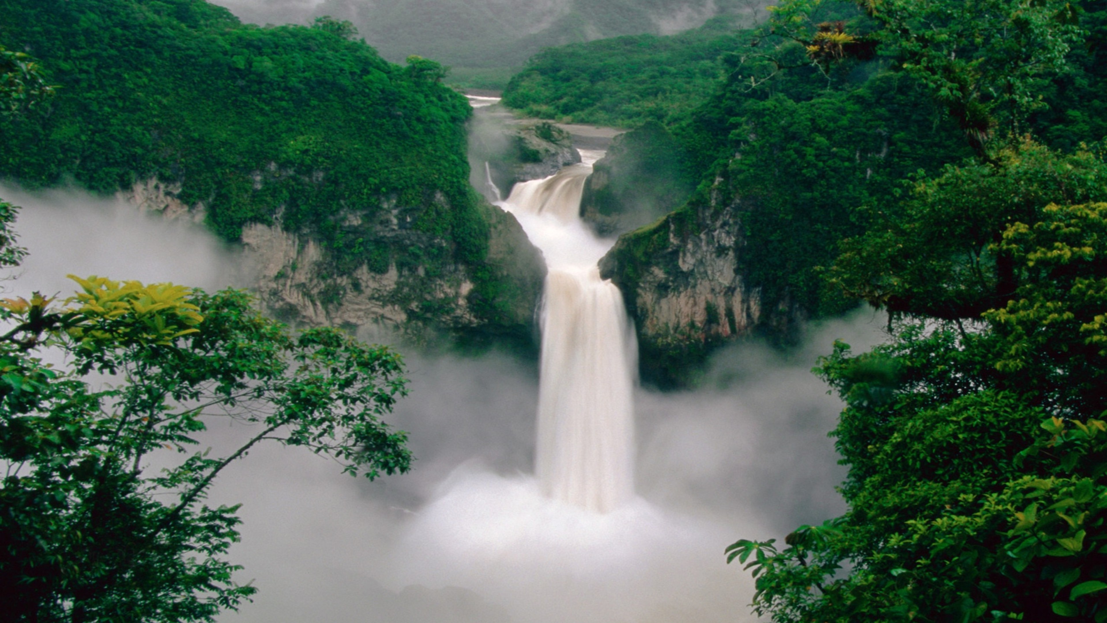 免费照片森林中的壮观瀑布