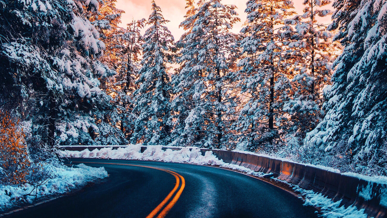Бесплатное фото Картинка с резким поворотом в снежном лесу