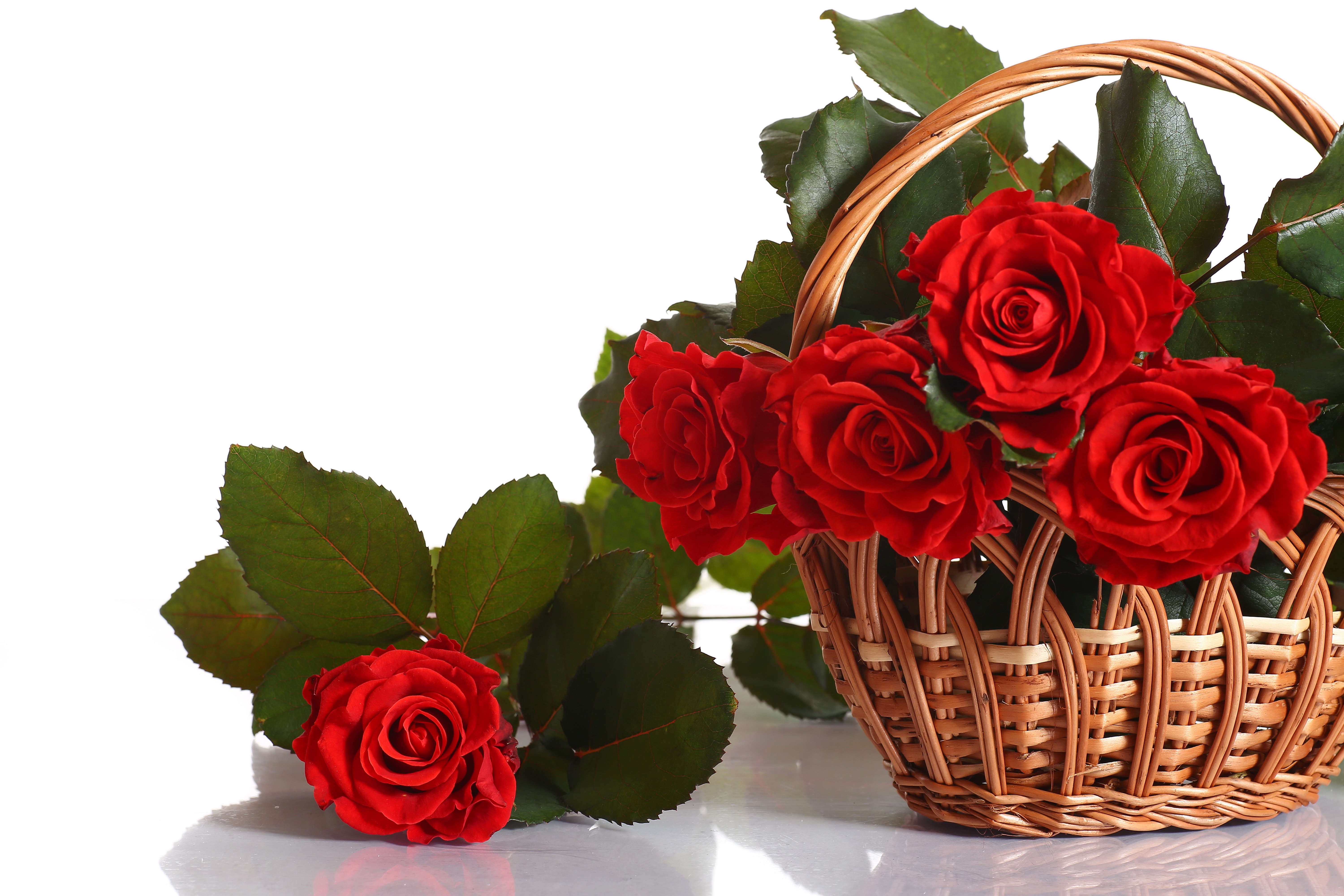 编织篮中的红玫瑰
