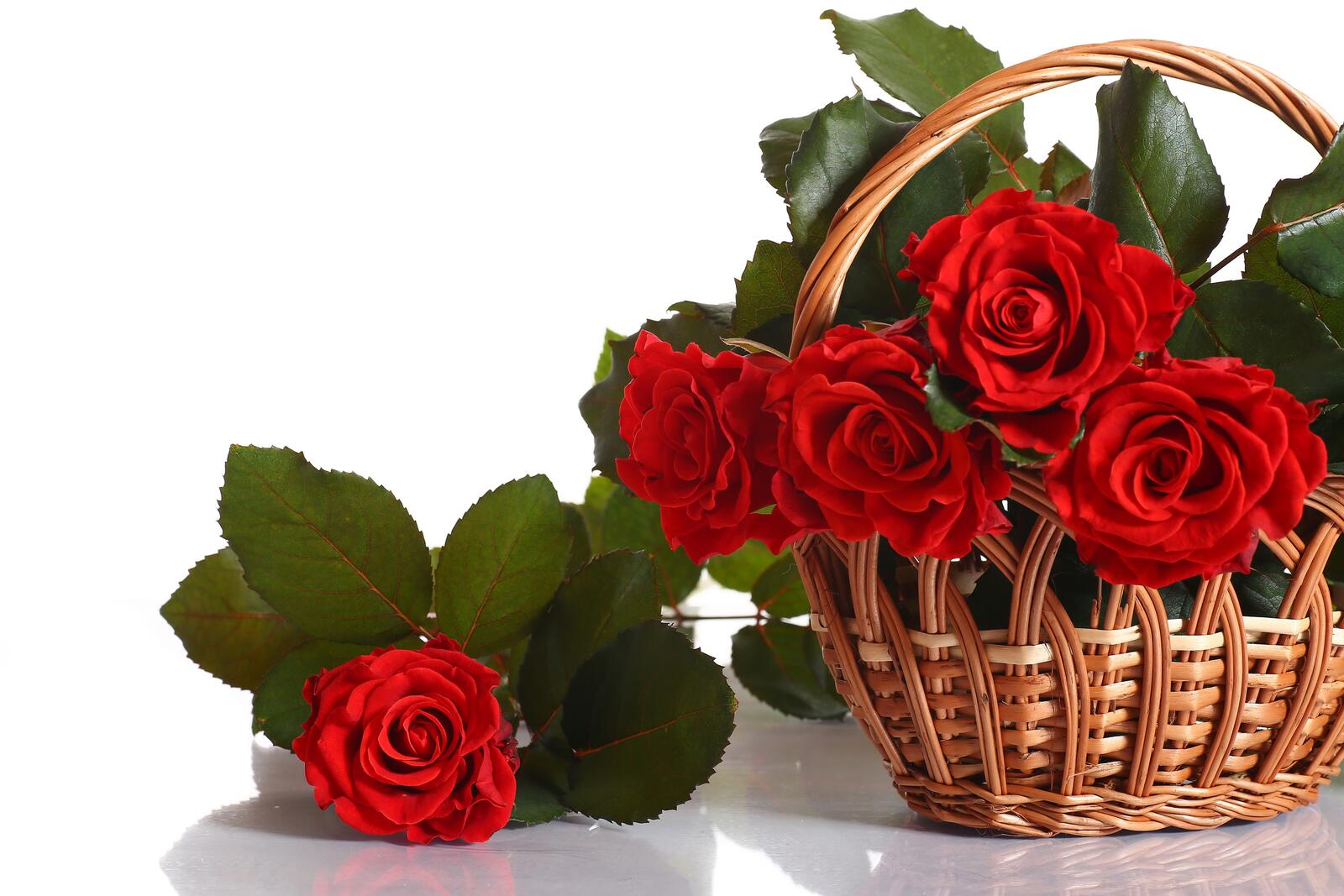 Бесплатное фото Красные розы в вязаной корзинке