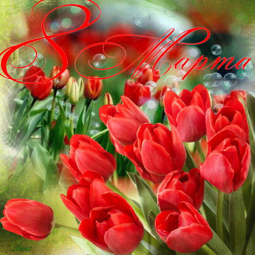 Red tulips for March 8