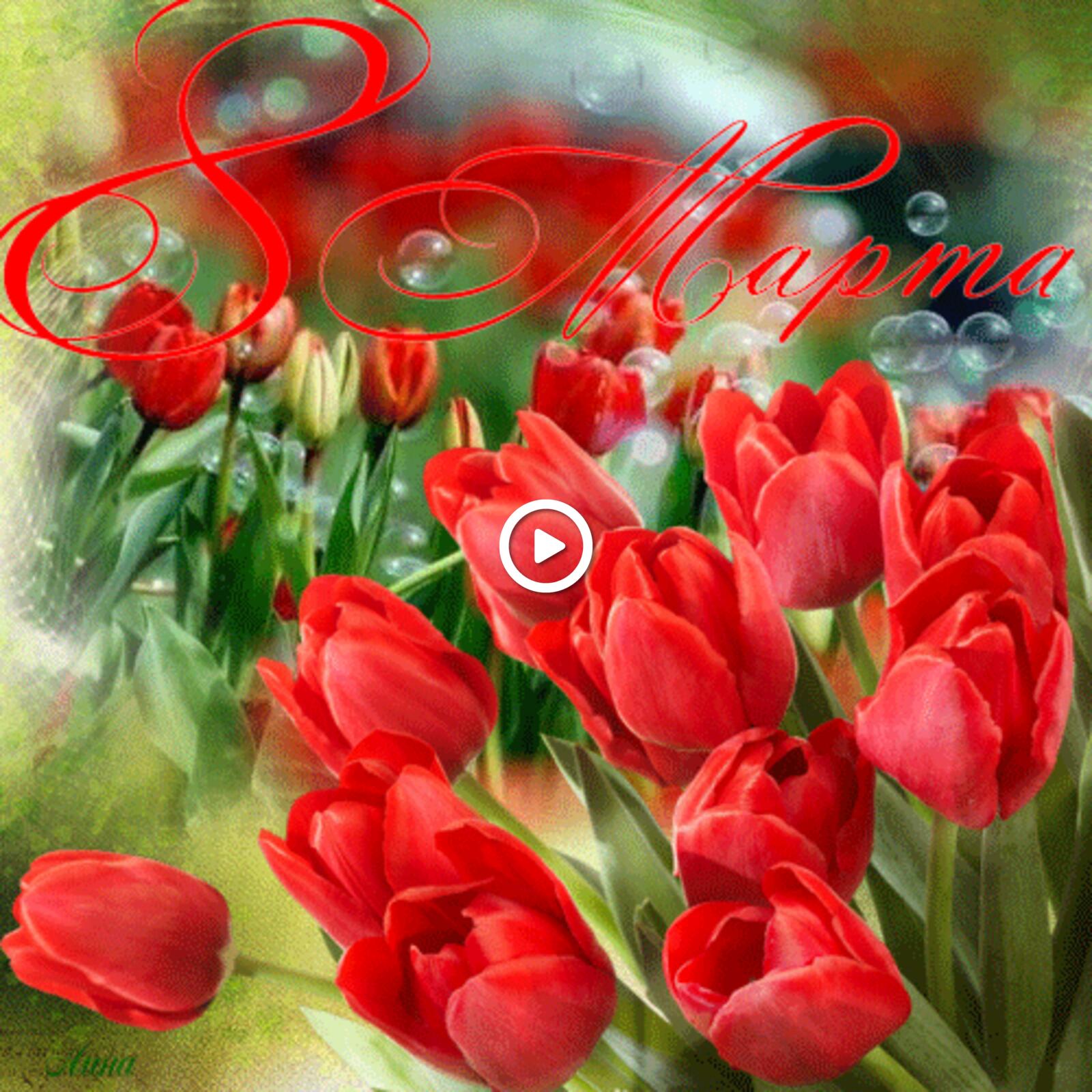 Бесплатная открытка Красные тюльпаны к 8 марта