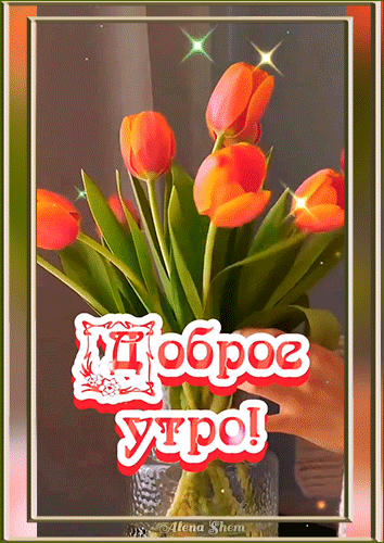 Открытка алена шем доброе утро ваза с тюльпанами - бесплатные поздравления на Fonwall