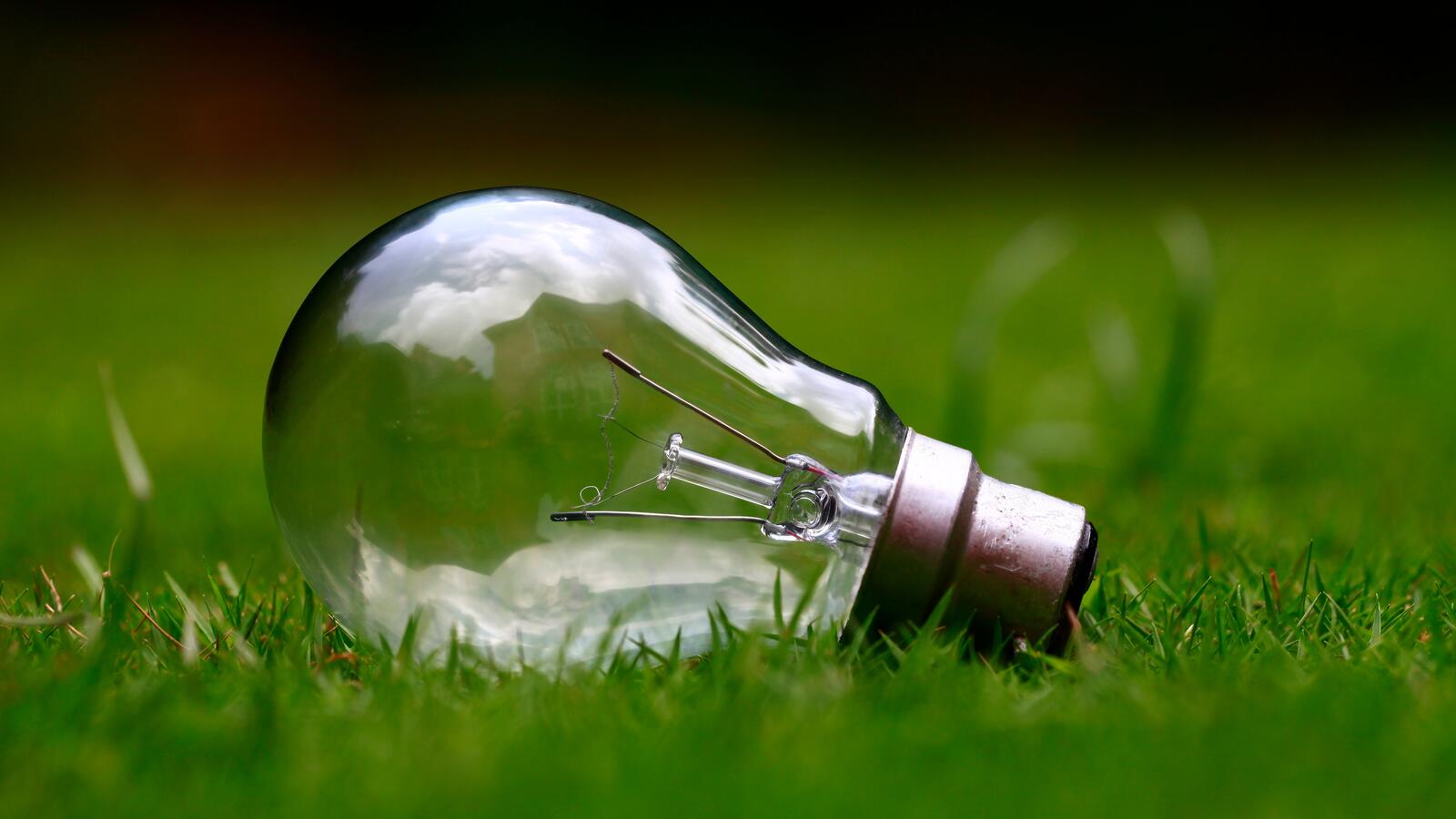Бесплатное фото Лампочка на зеленой траве