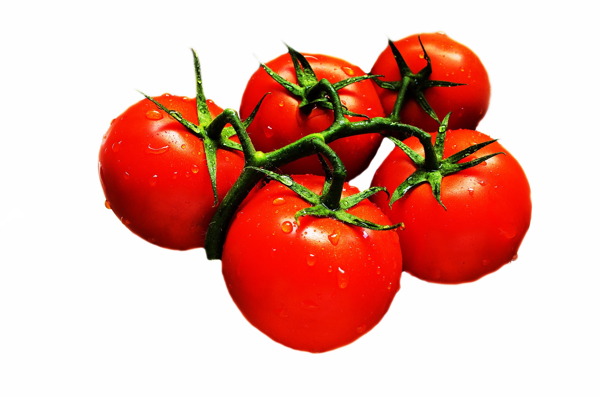 一幅红番茄图