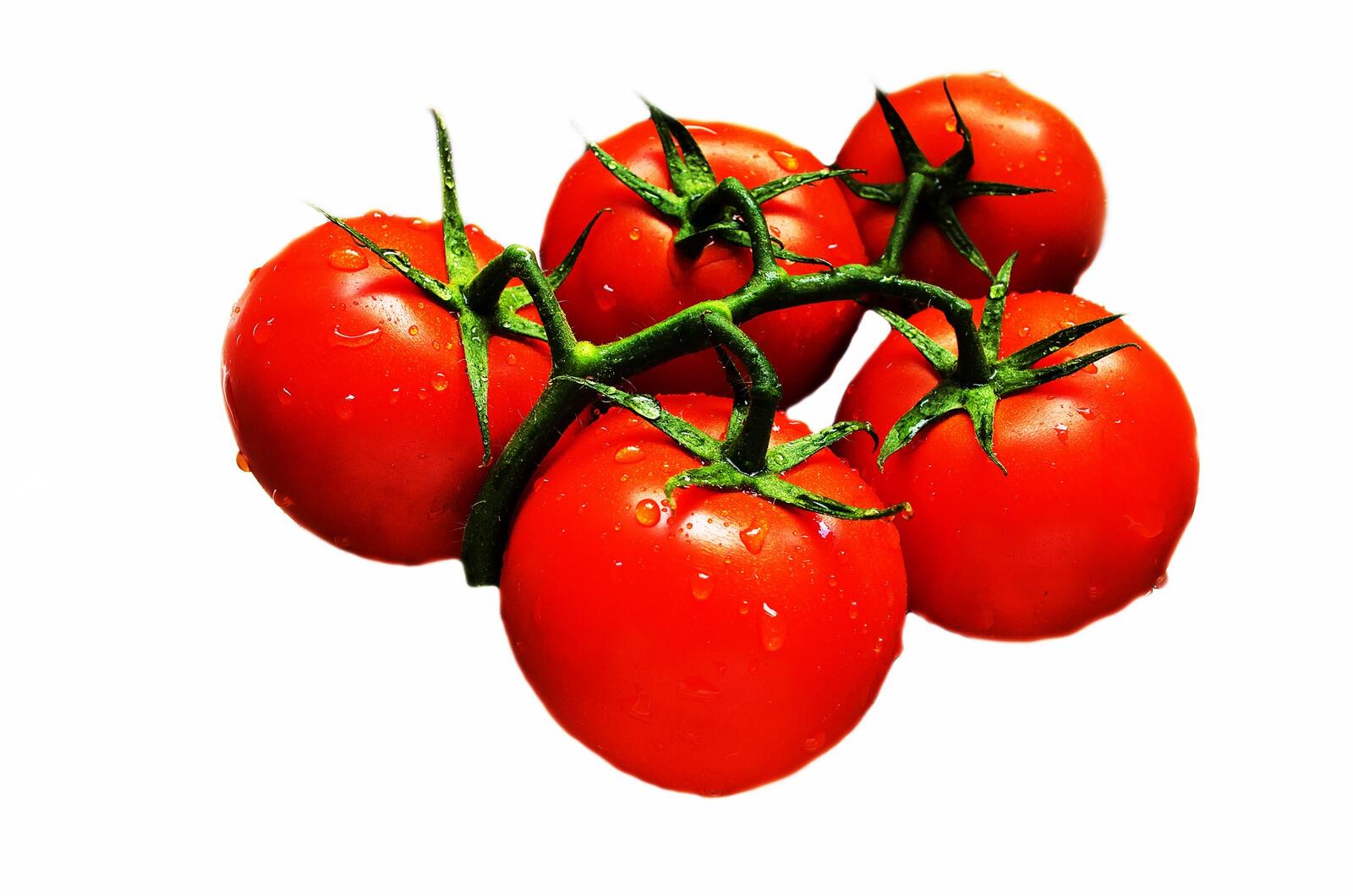 Free photo A picture of red tomatoes