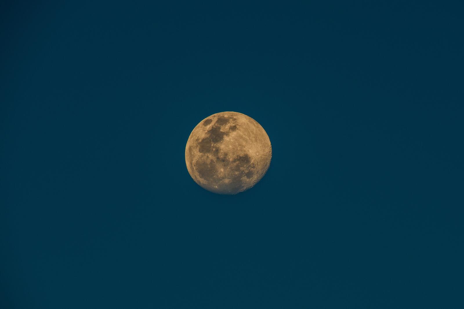 Бесплатное фото Бледная луна на небе