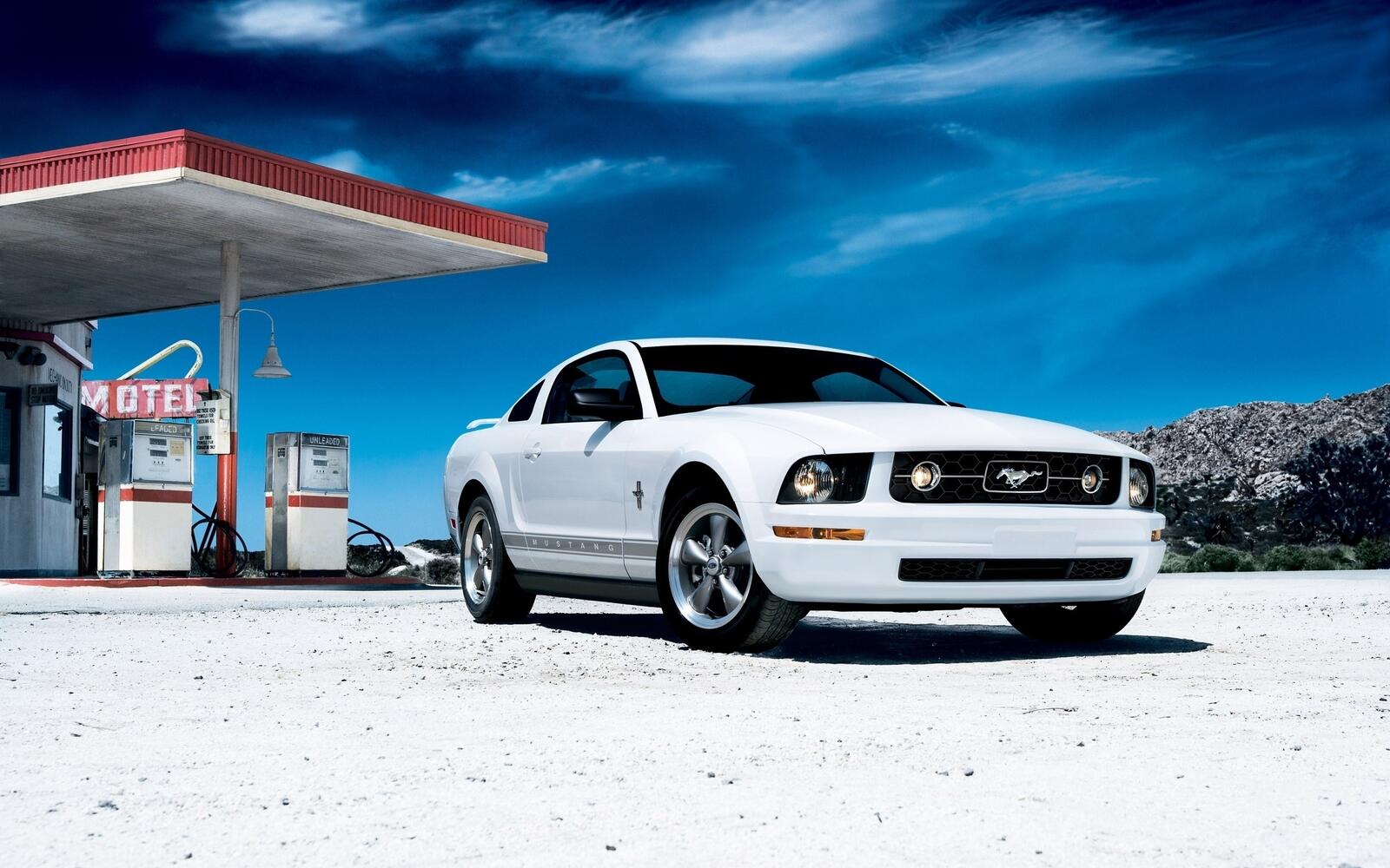 Wallpapers wallpaper ford mustang muscle cars white on the desktop
