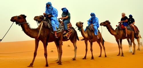 Traveling through the desert on camels
