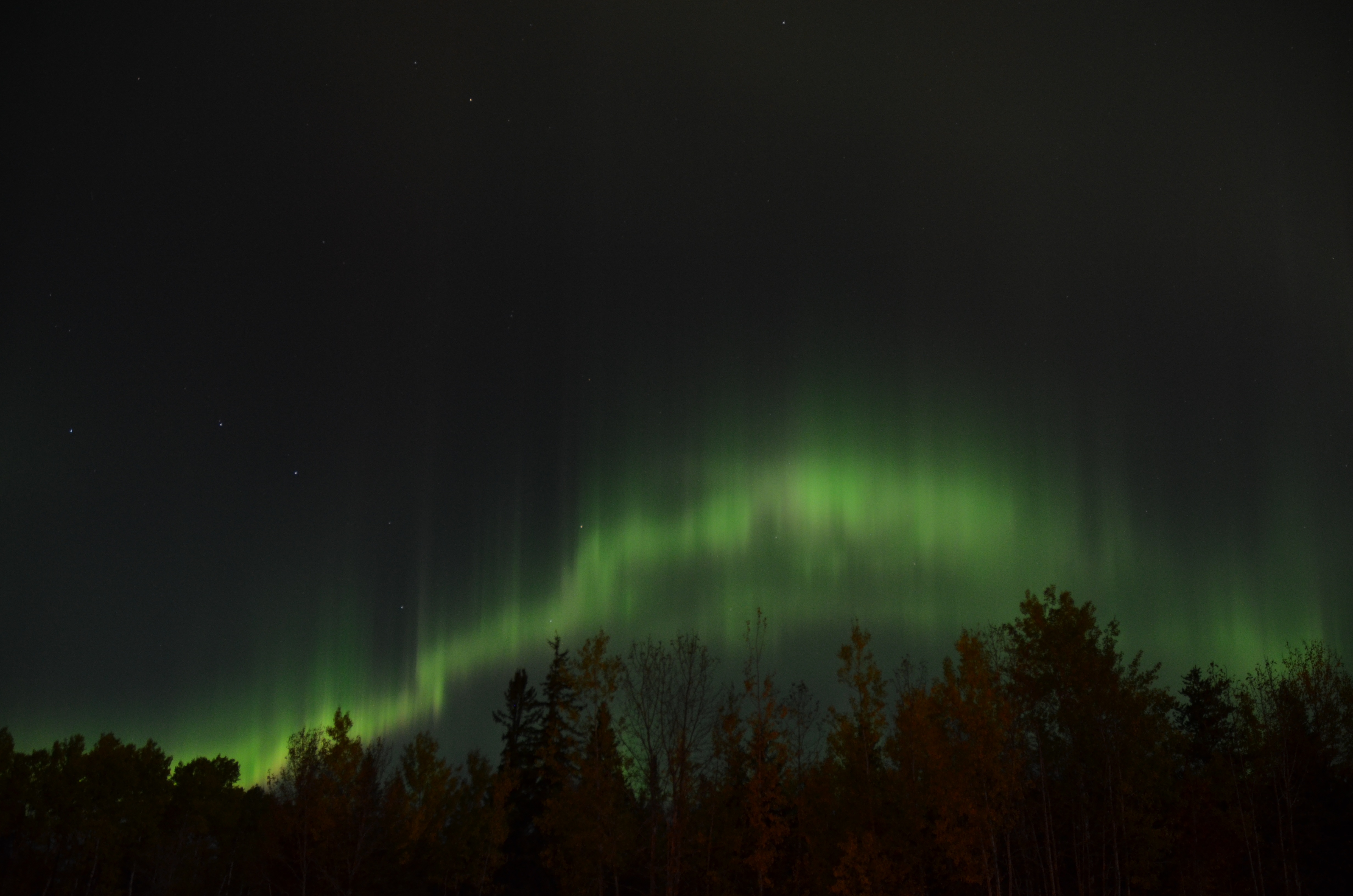 Северное сияние в Канаде небо украсило в зелёный цвет