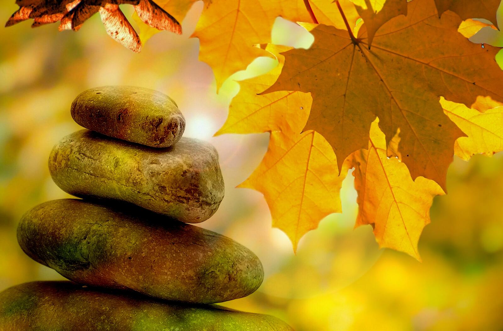 Бесплатное фото Камушки сложена друг на друга на фоне осенних листьев клена