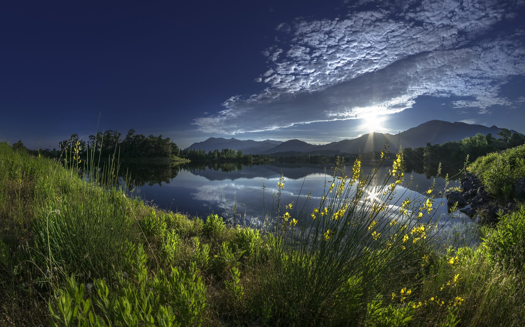 Бесплатное фото Солнечный свет на озере