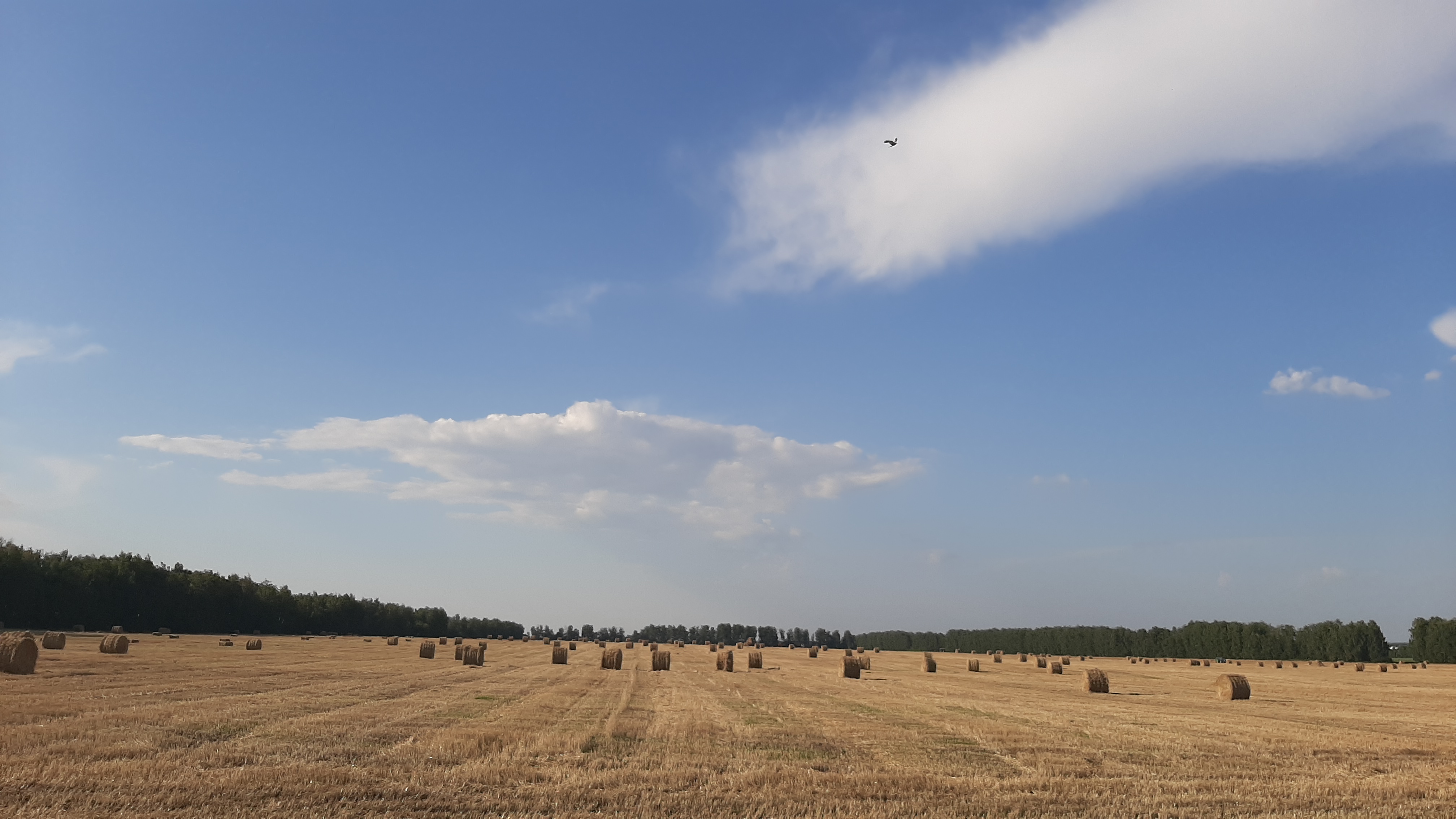 Бесплатное фото Большое поле с клубами сена