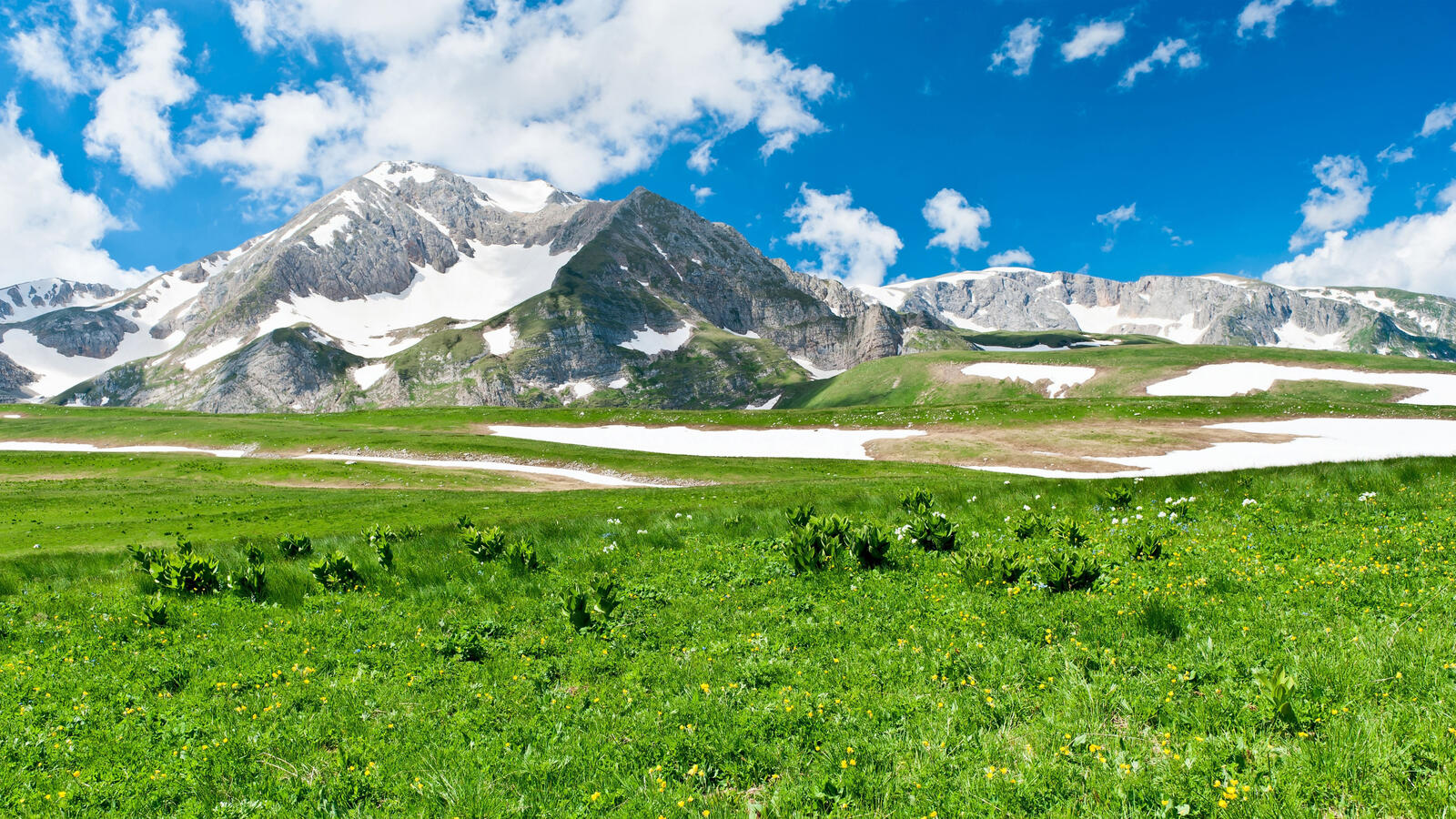 Free photo Green grass with snow in the mountains