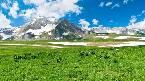 Green grass with snow in the mountains