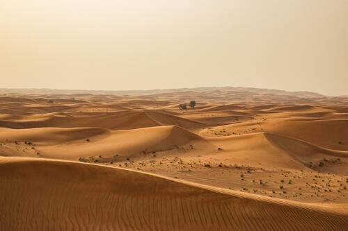 Песчаные дюны пустыни сахара