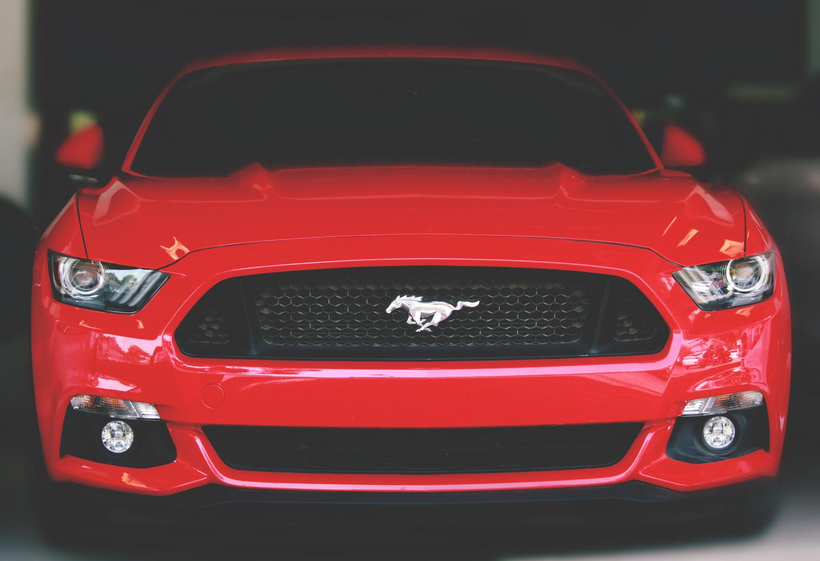 Free photo Red New Mustang
