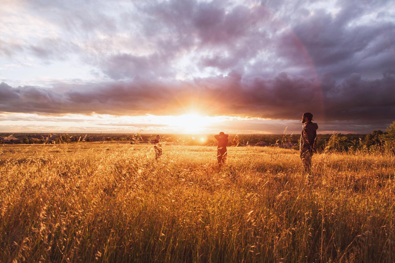 Бесплатное фото Люди на поле с высокой травой во время заката