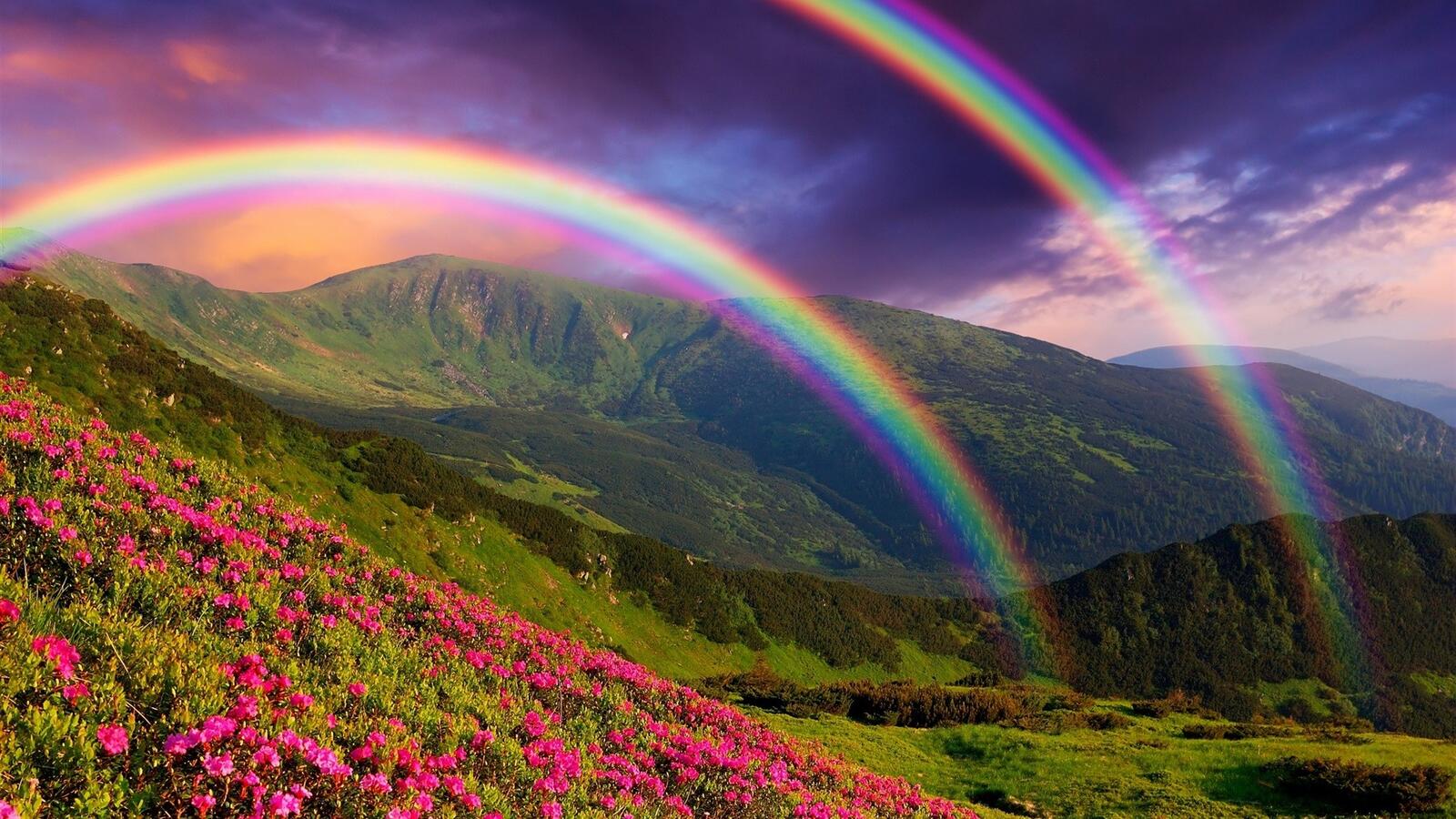 Бесплатное фото Потрясающая радуга в горах с цветами на склоне