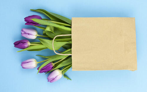 Пакетик с фиолетовыми тюльпанами