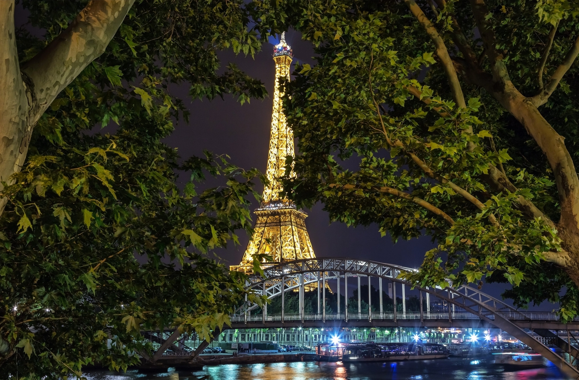 Free photo View of the Eiffel Tower through the tree branches