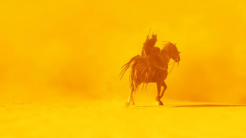 Desert Rider from Assassins Creed