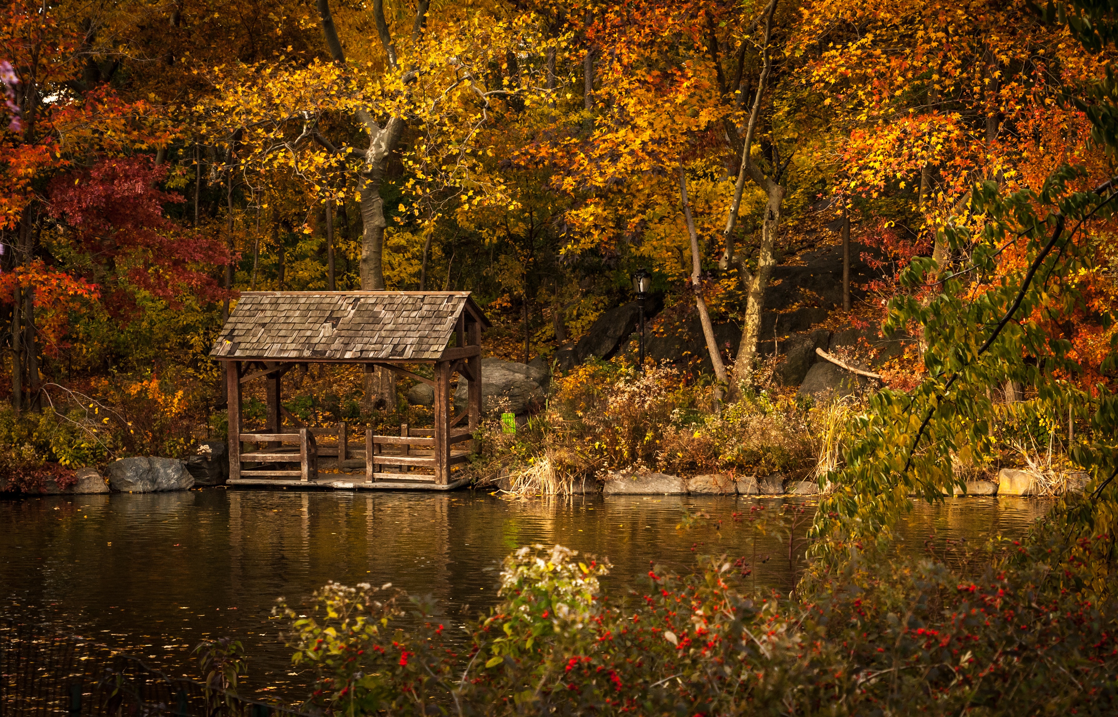 Дом в лесу у озера осень
