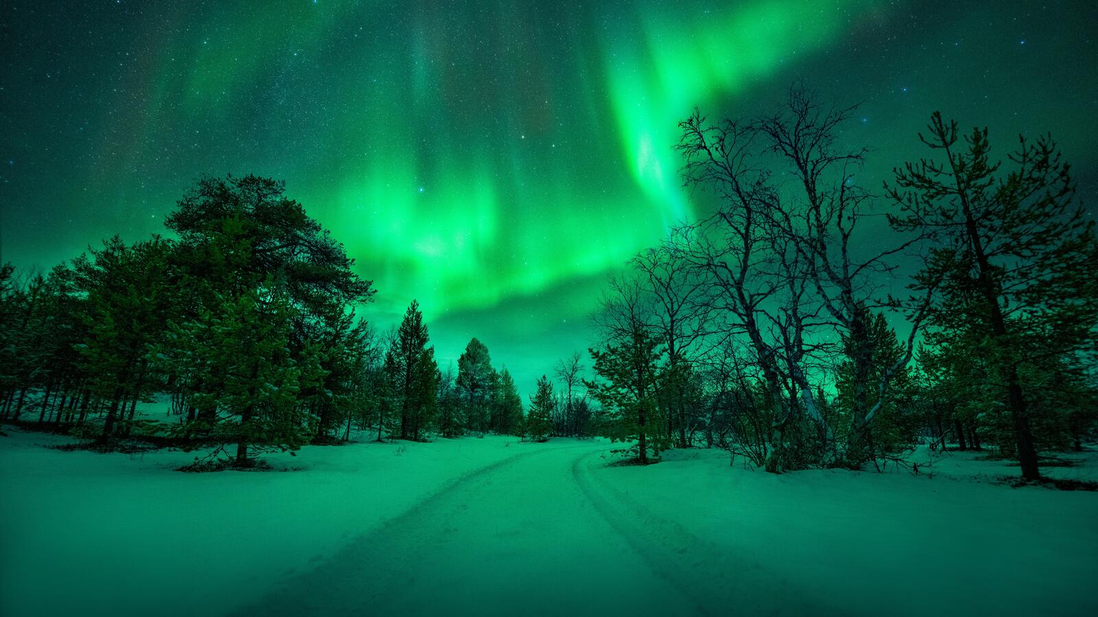 Free photo Beautiful green northern lights in winter