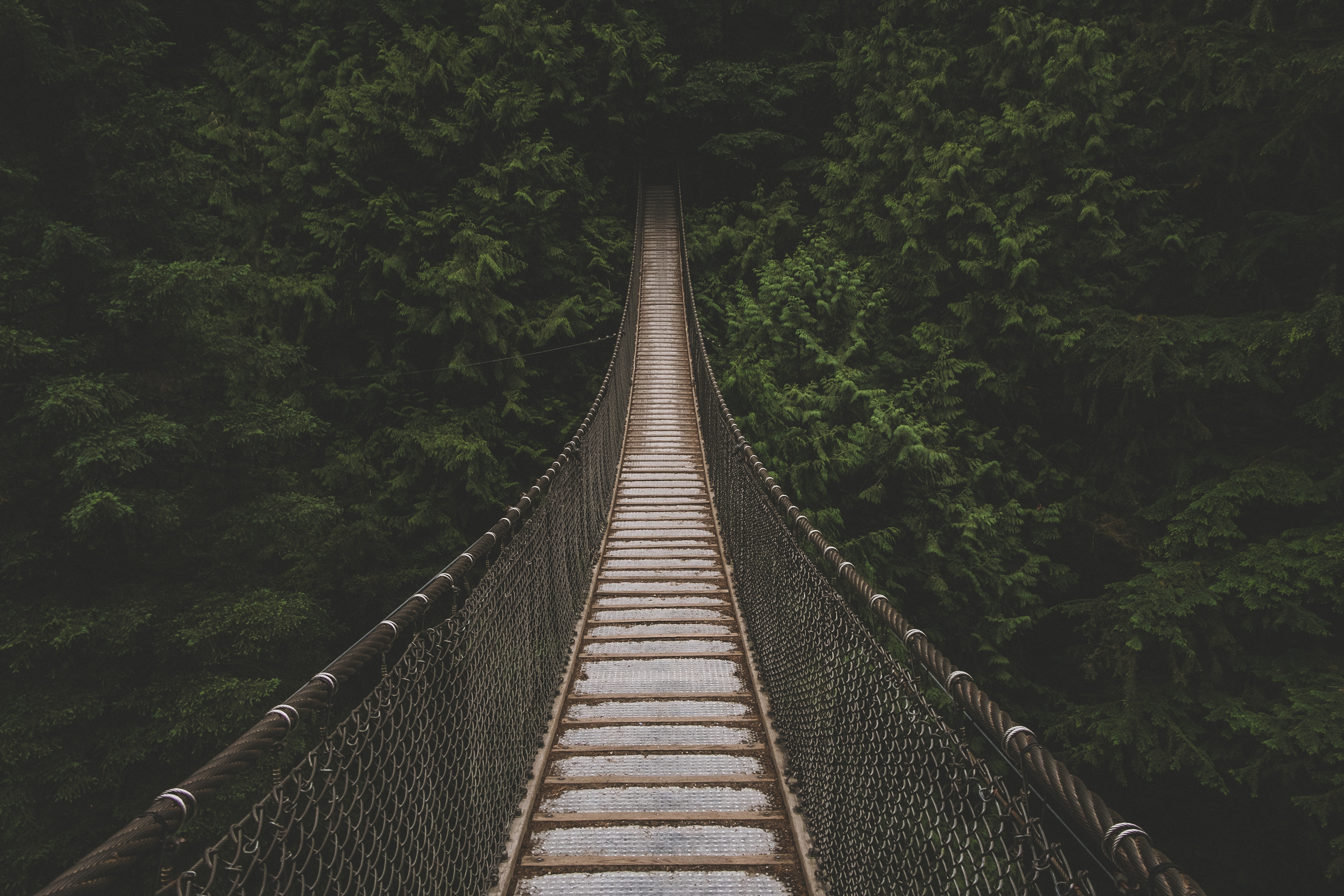 Длинный деревянный подвесной мост в джунглях